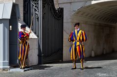 Guardia Svizzera Pontificia