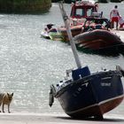 Guardián de barcas