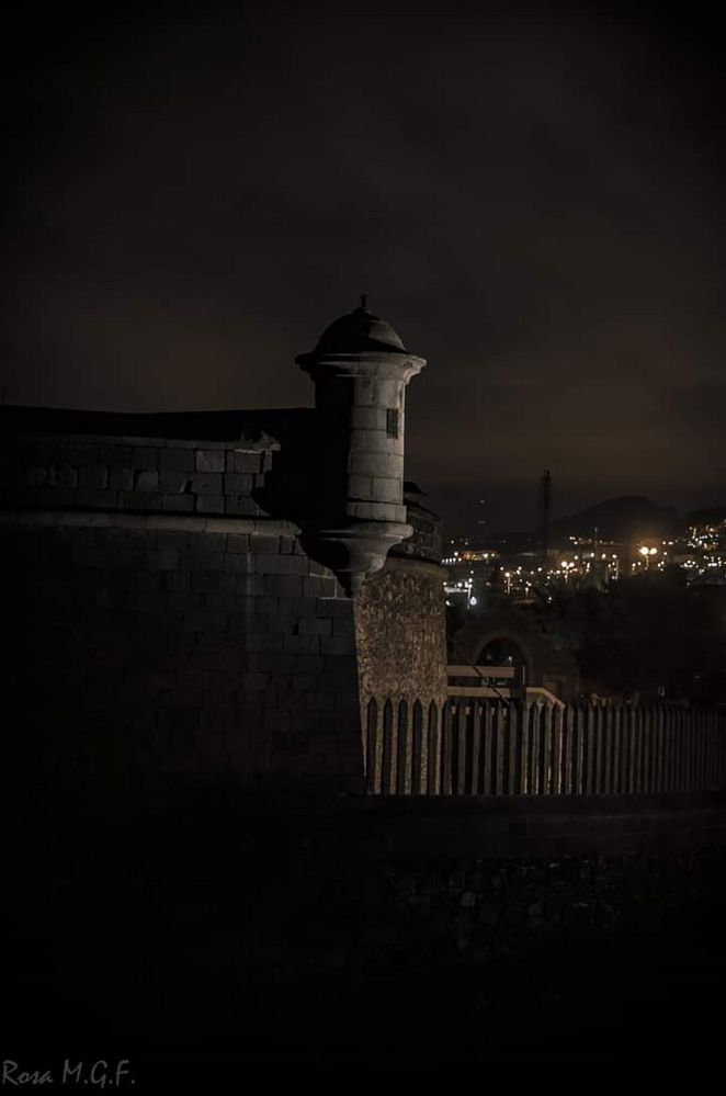 Guardián en la noche