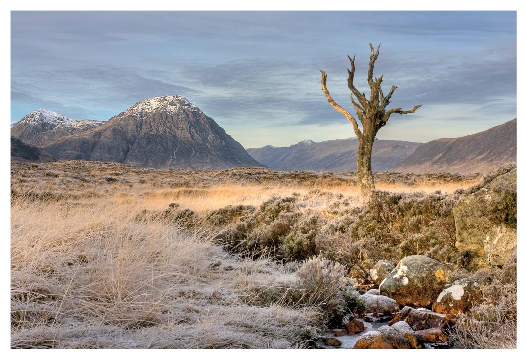 Guardian of Glencoe