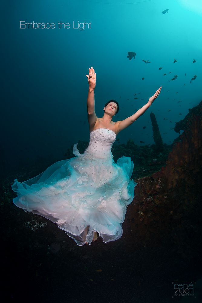 Guardian of the Mola wreck II