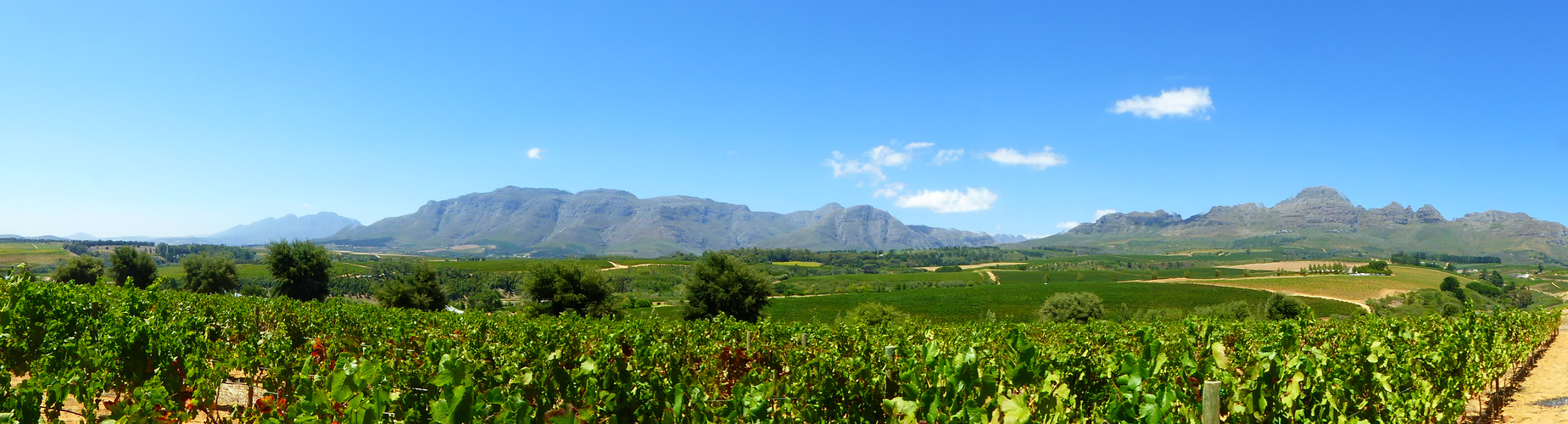 GUARDIAN PEAK RESTAURANT STELLENBOSCH