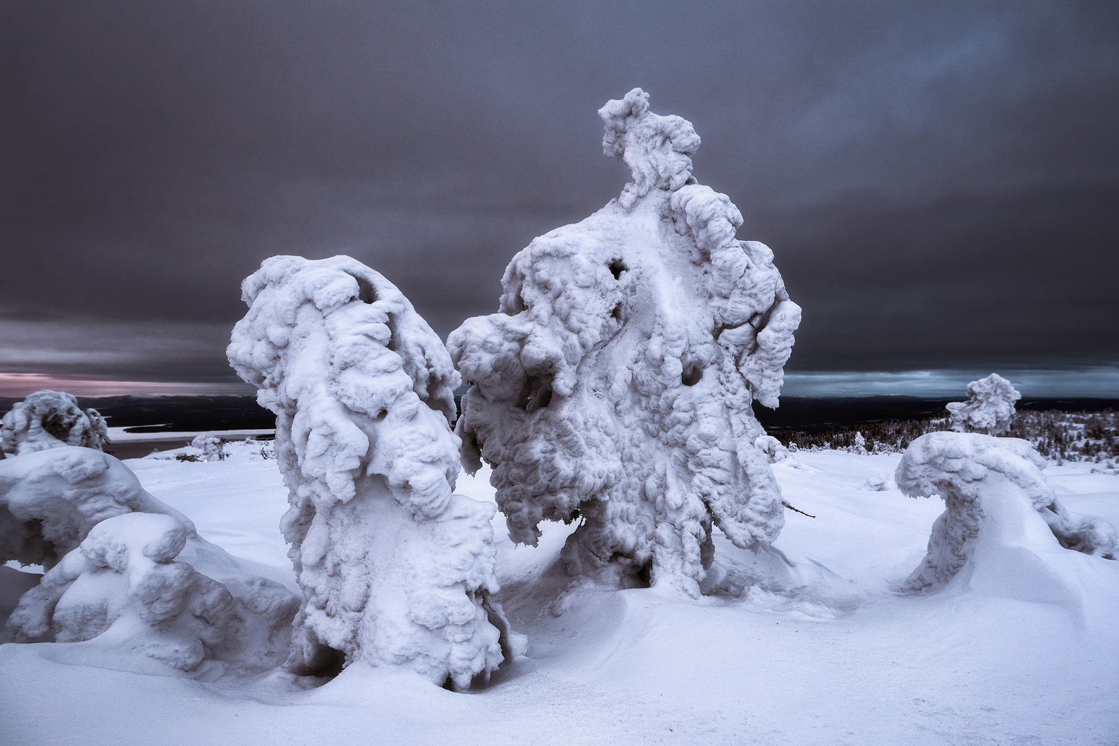 Guardians of the Arctic