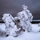 Guardians of the Arctic