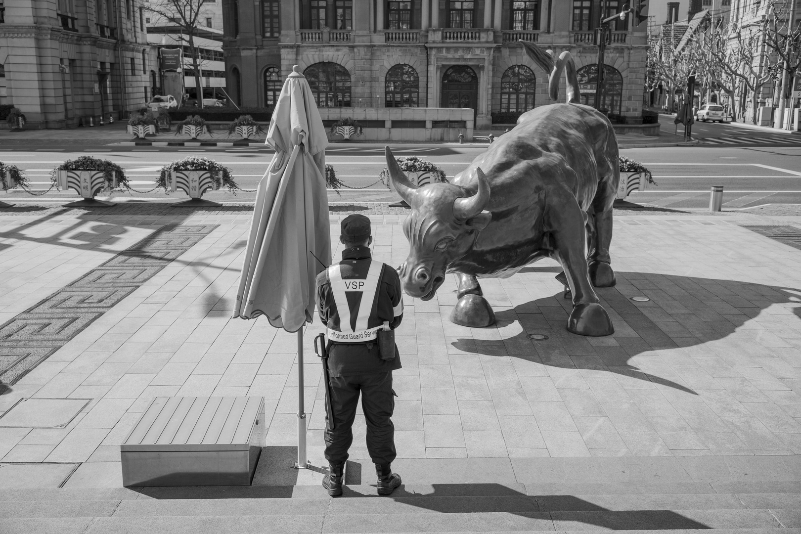 Guarding the Bull / Wächter & Stier