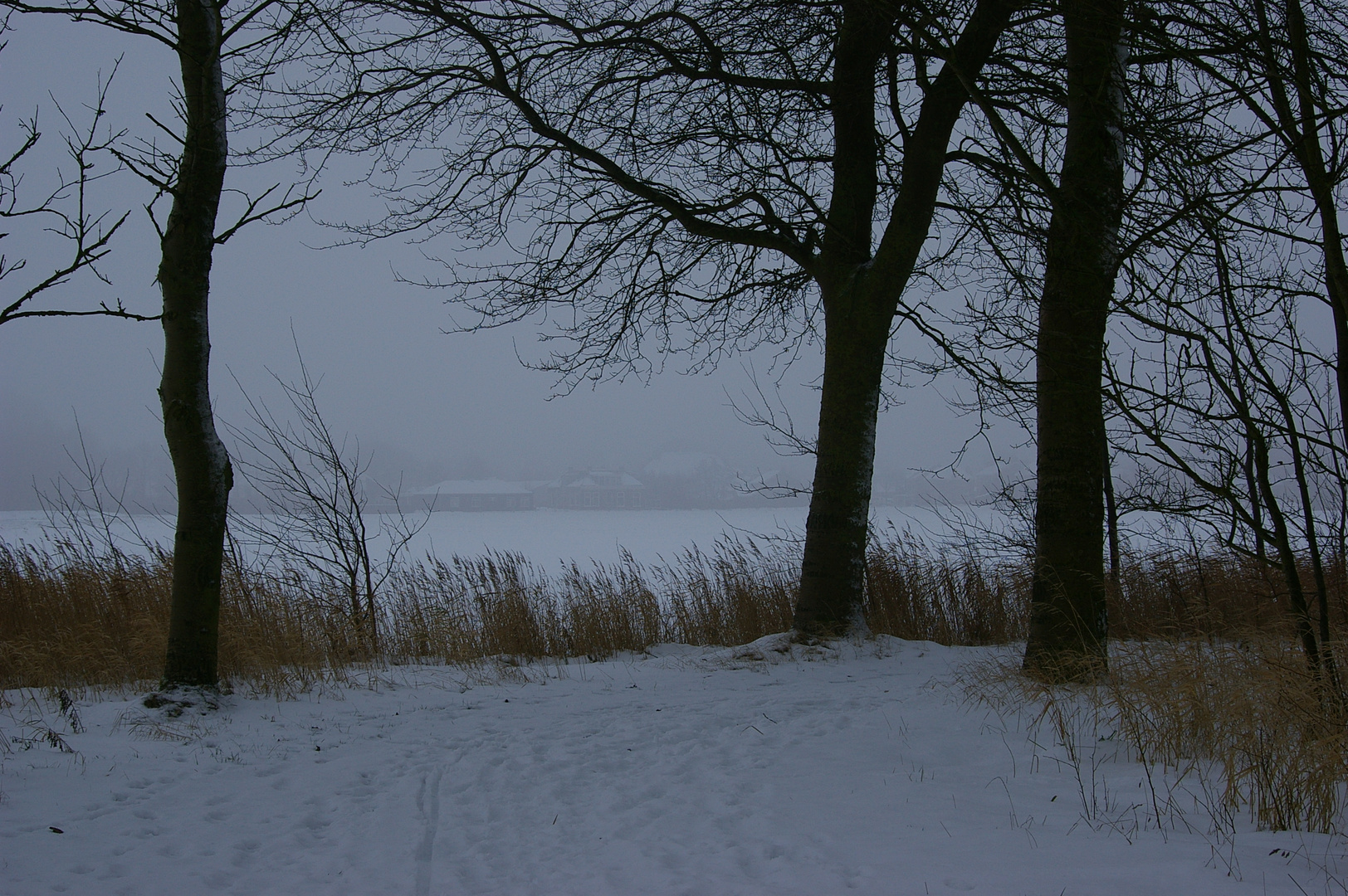 Guards in the snow...