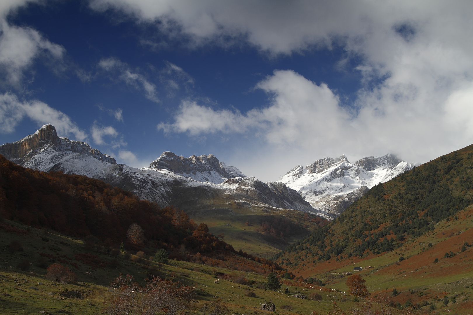 Guarrinza (Selva de Oza)