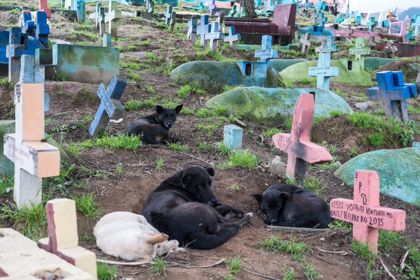 Guatemala | Cementerio de Chichicastenango