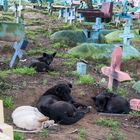 Guatemala | Cementerio de Chichicastenango