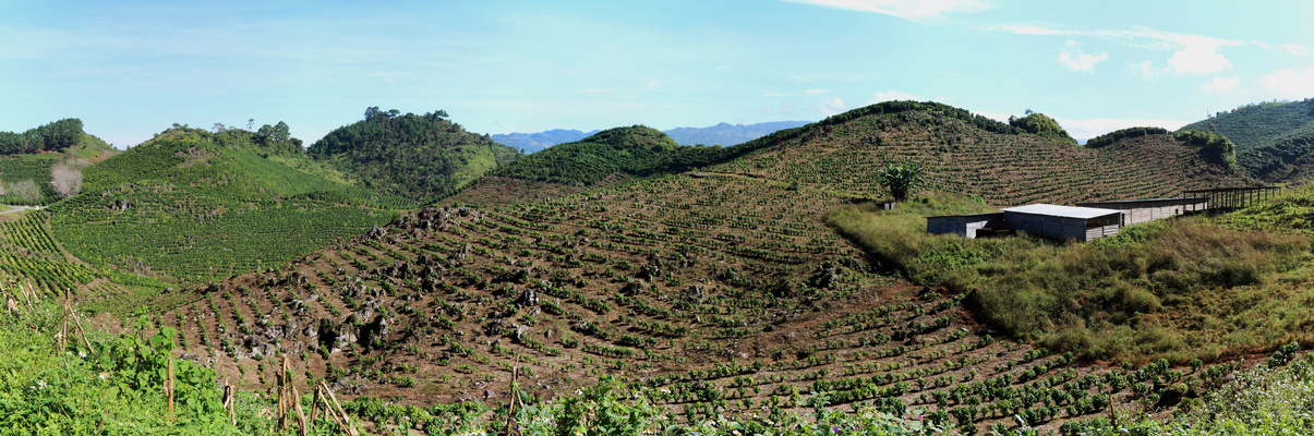 Guatemala, Honduras und El Salvador