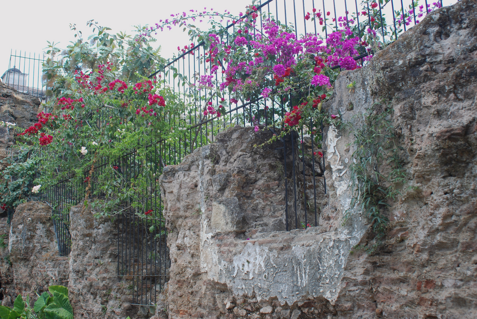 Guatemala, in Antigua