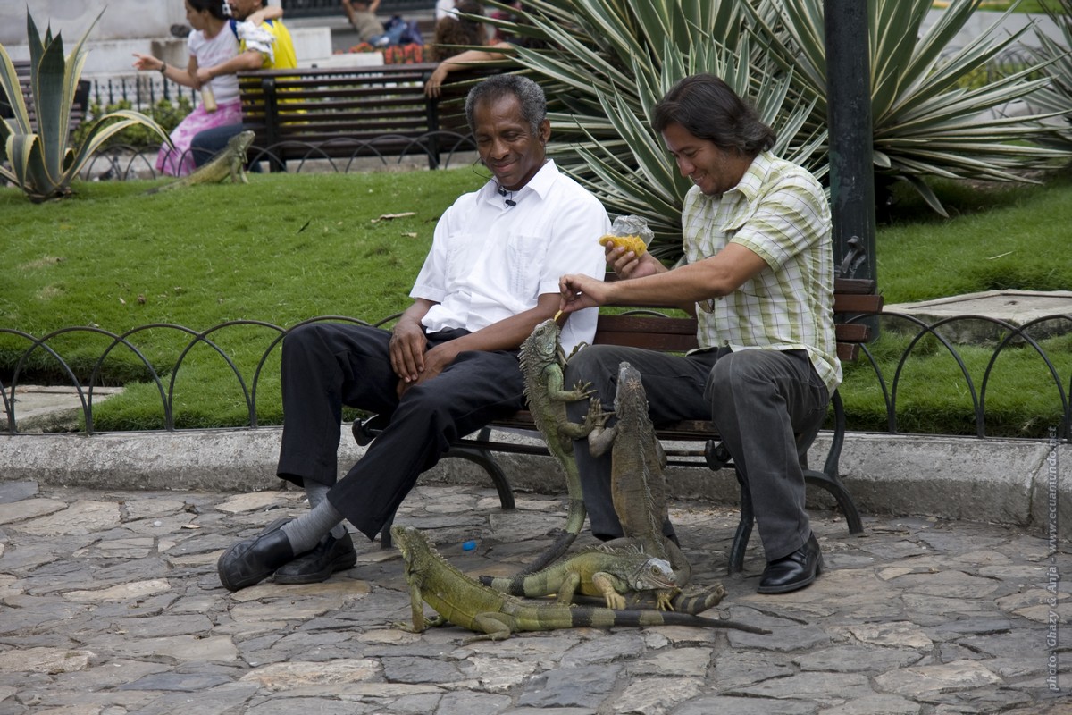 Guayaquil - Parque de las Iguanas