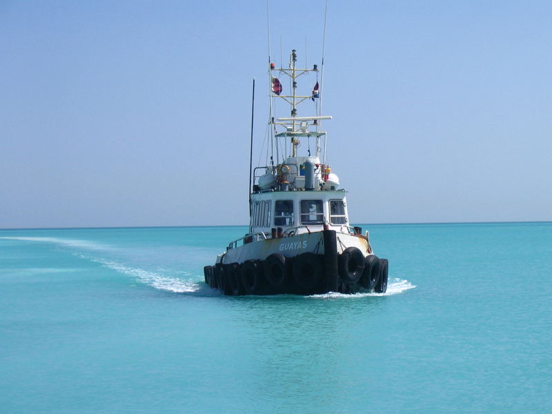 guayas in RAS LAFFAN, QUATAR