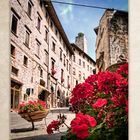 Gubbio in red