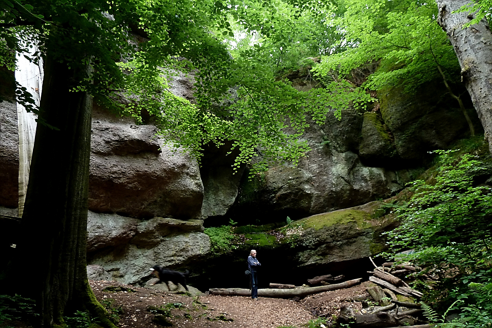 Guck du dein Holz an, ich gehe derweil auf Entdeckungstour