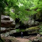 Guck du dein Holz an, ich gehe derweil auf Entdeckungstour