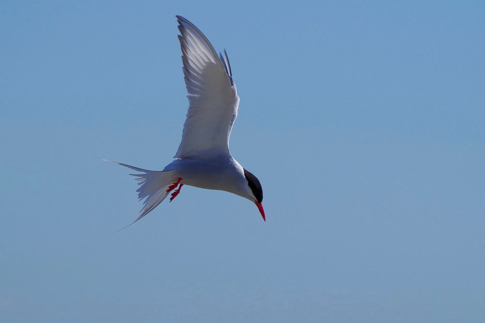 guck mal, da unten ist das Wochenende