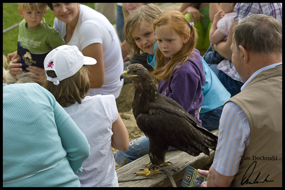 Guck mal... ein Adler...