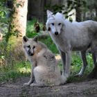 guck mal Kleiner: das sind Menschen