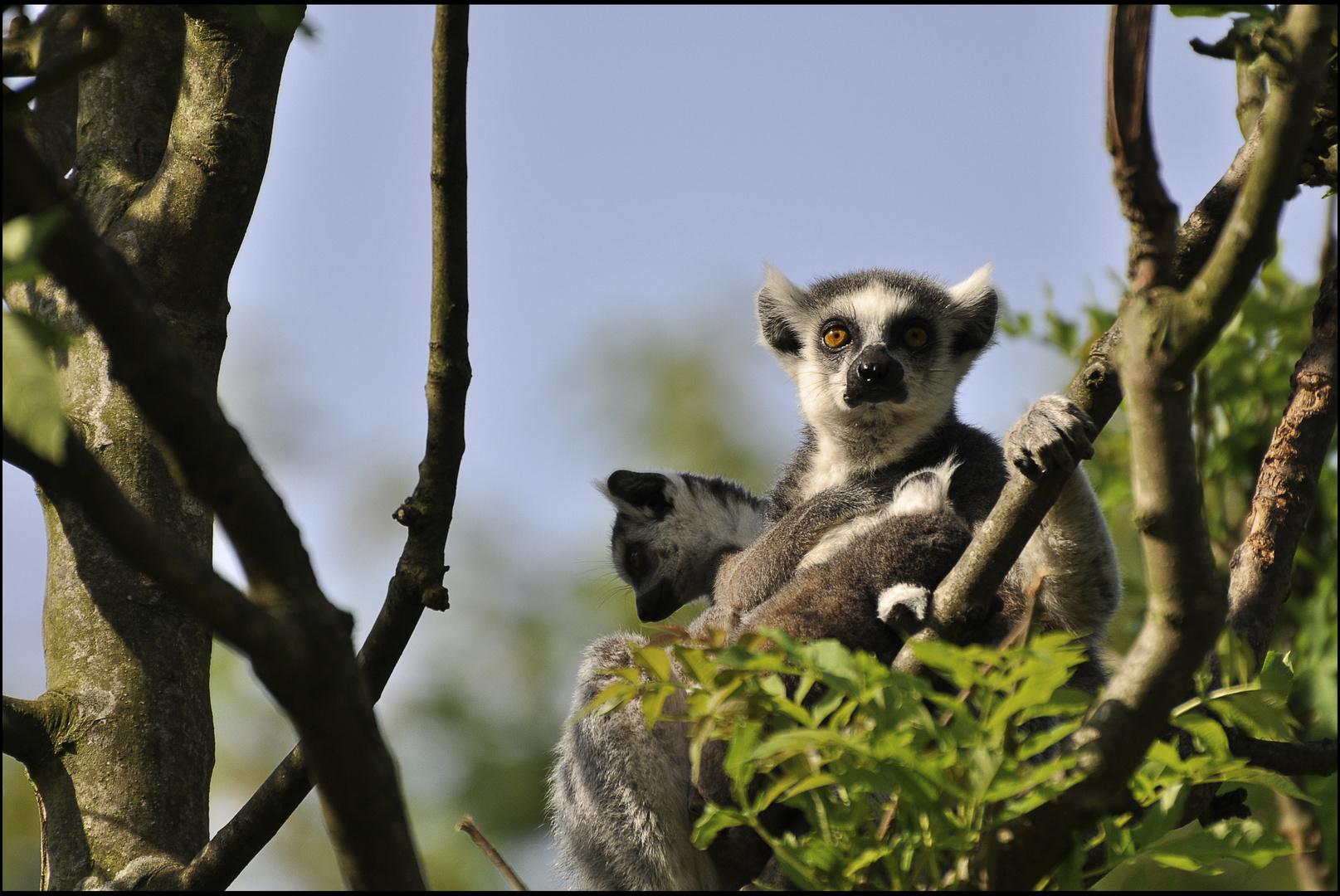 Guck mal... Mama... Menschen....