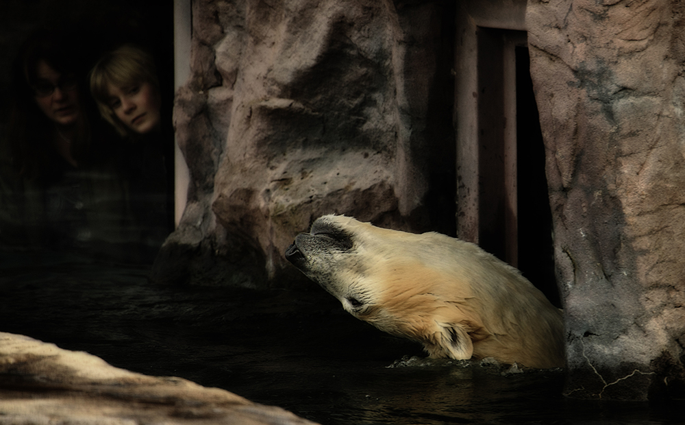 Guck mal, wie der guckt!