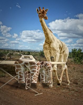 Guck nicht, Hilf Bügeln !!