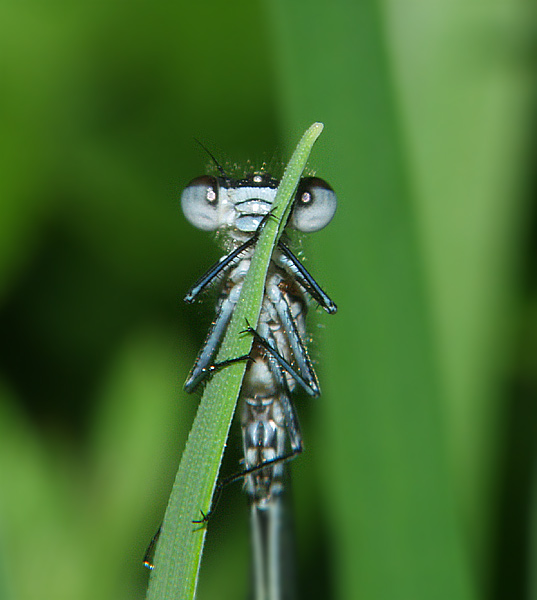 Guck nicht so blöd! Foto & Bild experimente, spezial Bilder auf