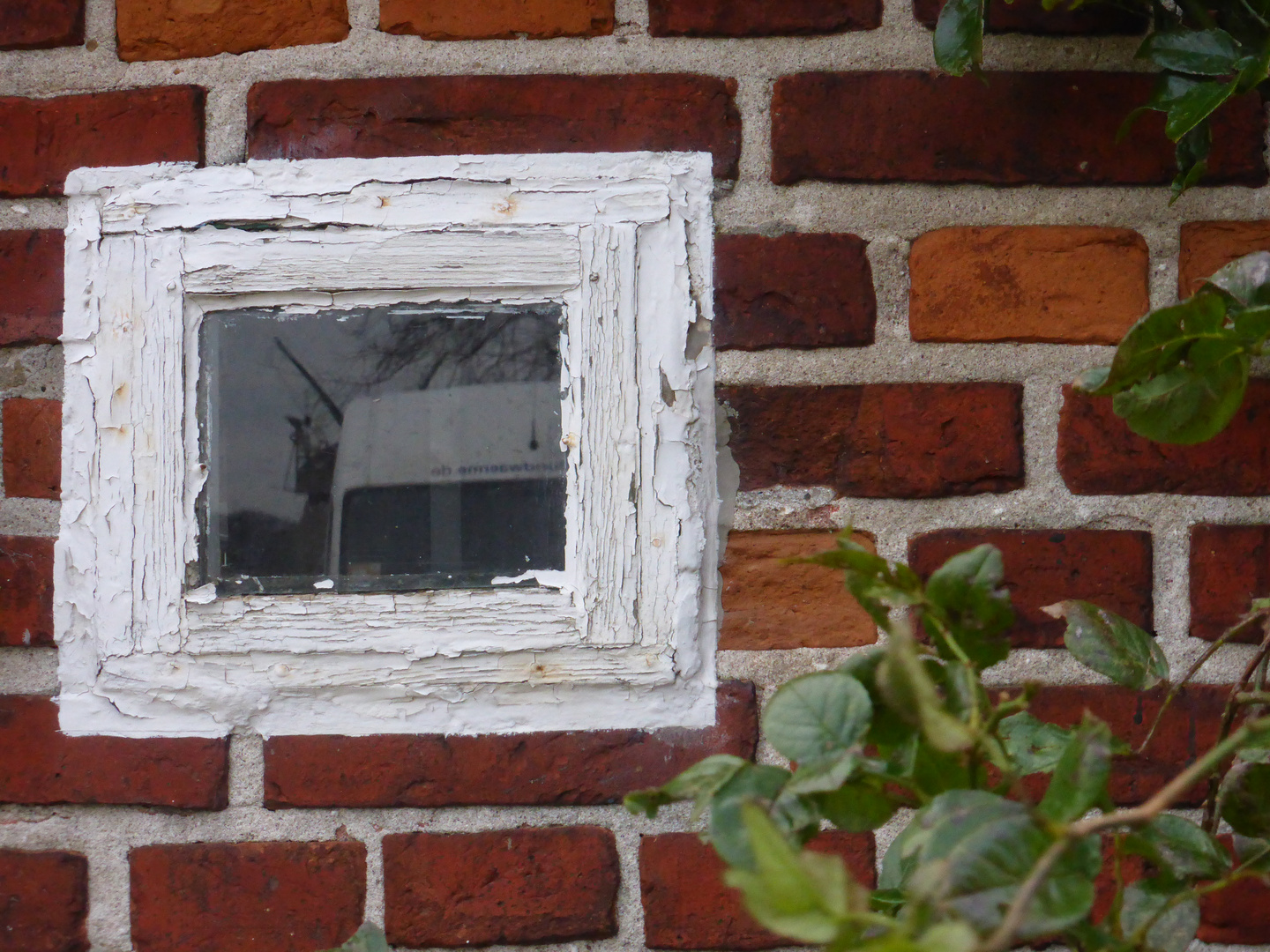 Guckfenster auf der Geltinger Birk