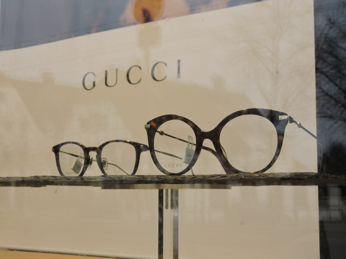 Gucki from Gucci