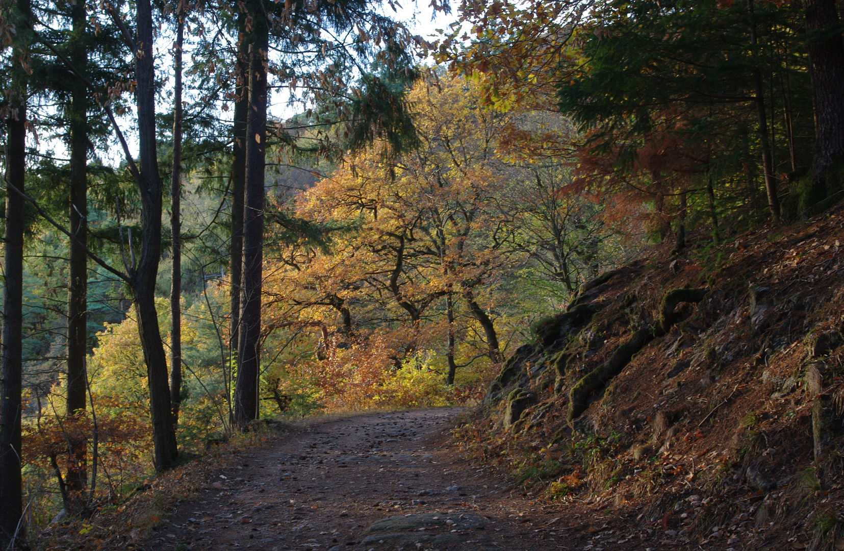 Guckkastenweg