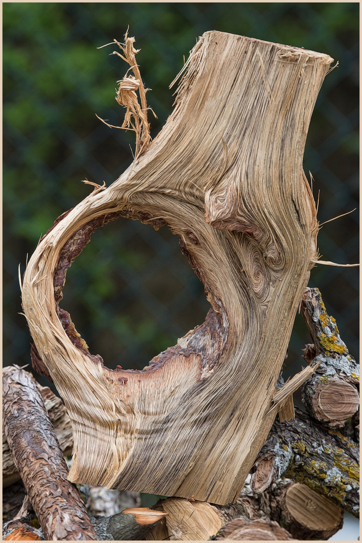 'Guckloch'.... Holz mit Durchblick