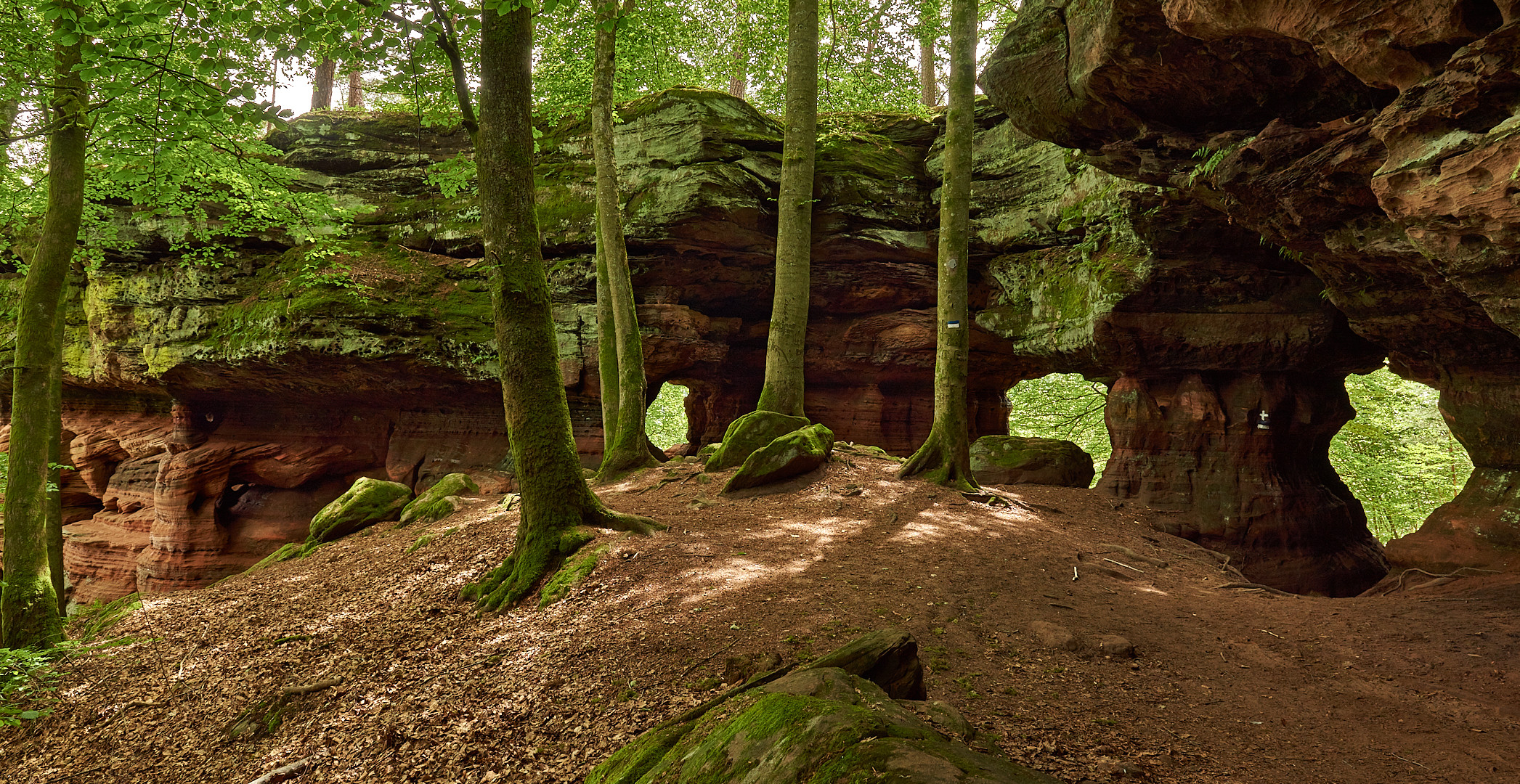 Gucklöcher in den Altschlossfelsen