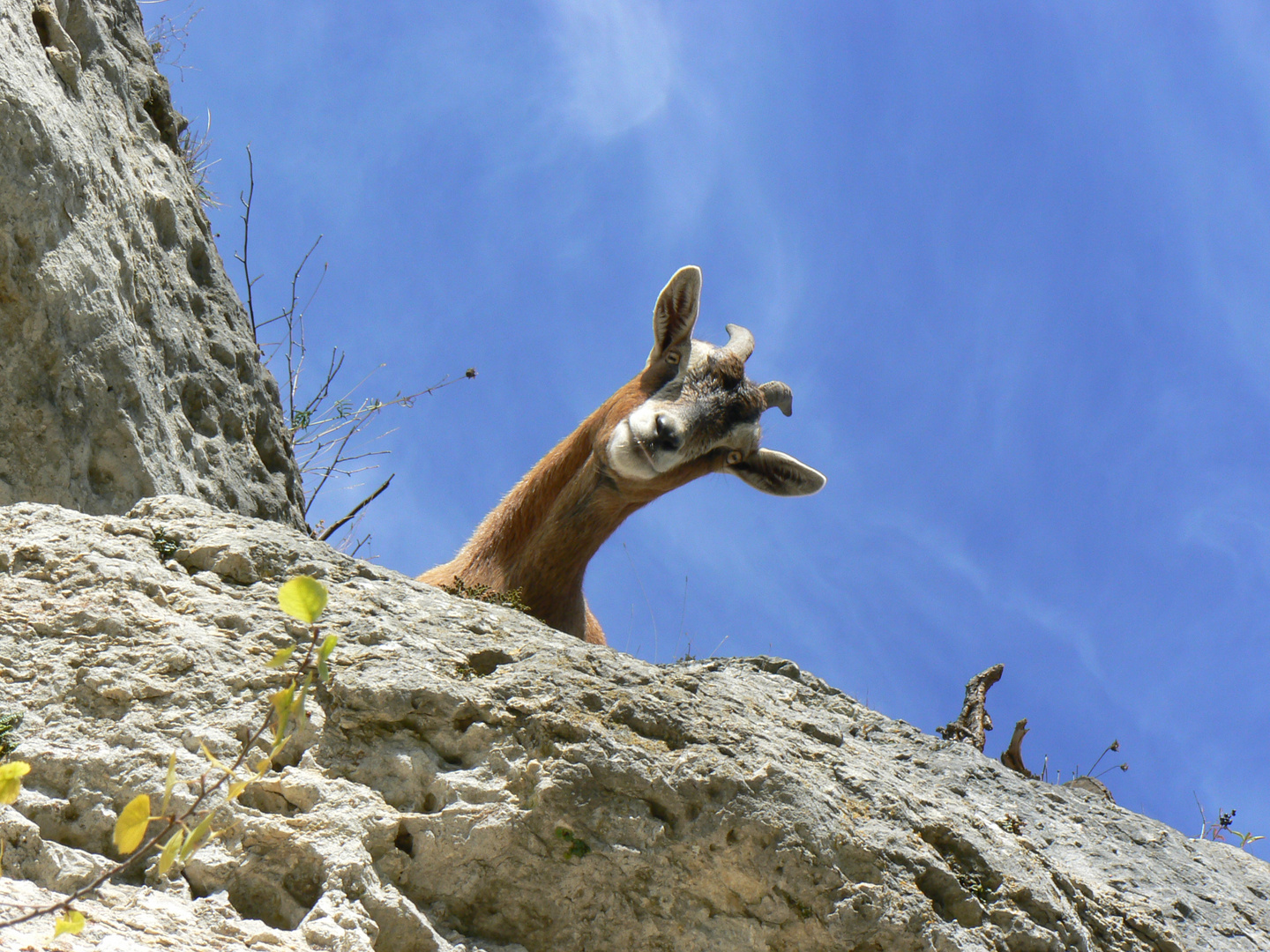 "Guckst Du?!?"