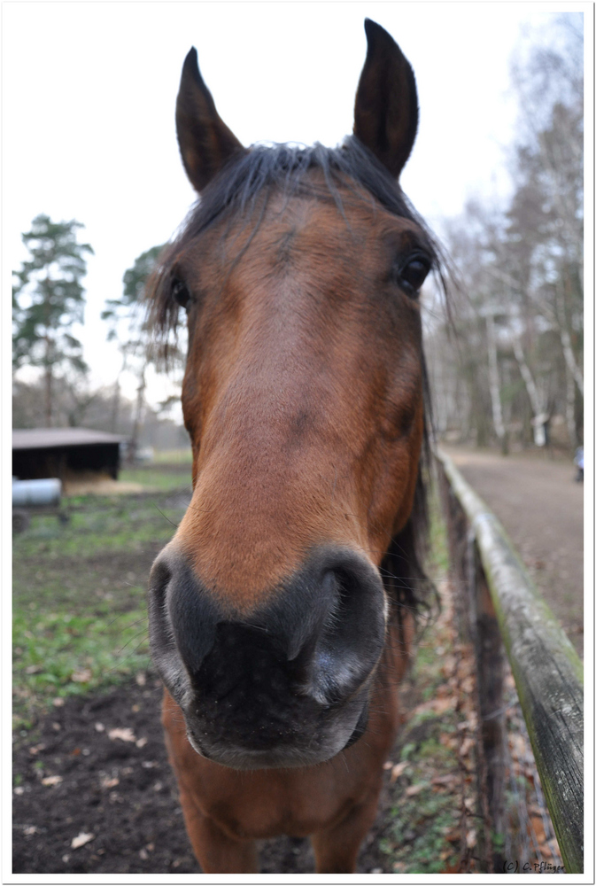 Guckst du?!