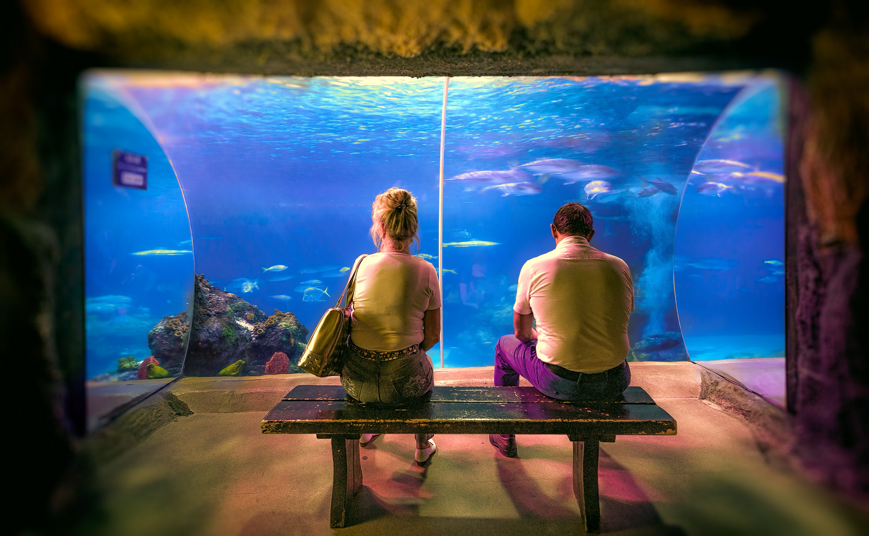 Guckst du ins Aquarium oder lebst du darin...?
