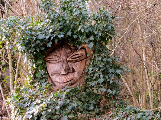 guckst du noch, oder schläfst du schon