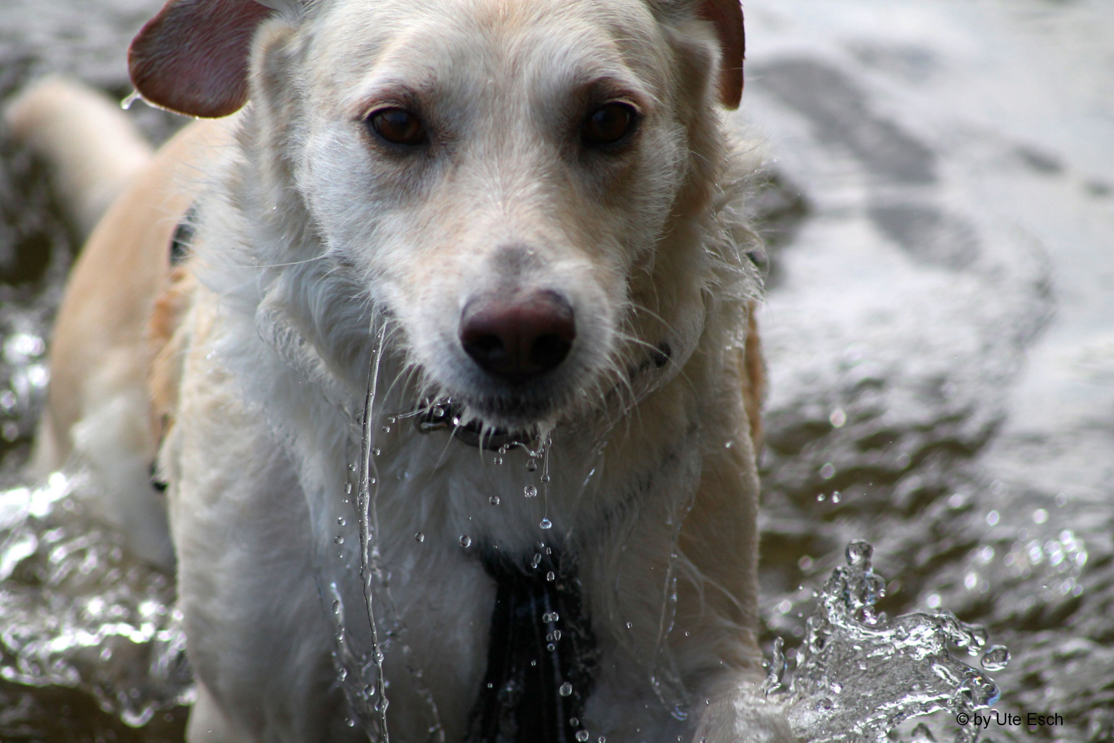 Guckst Du... Wasser...