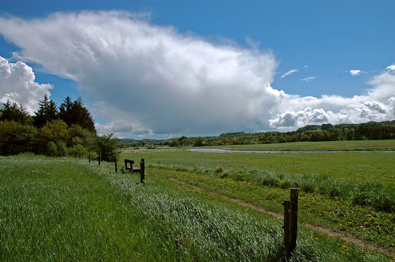 Gudenaatal (Dänemark) im Frühjahr