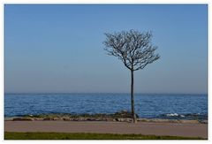 Gudhjem Strandpromenade