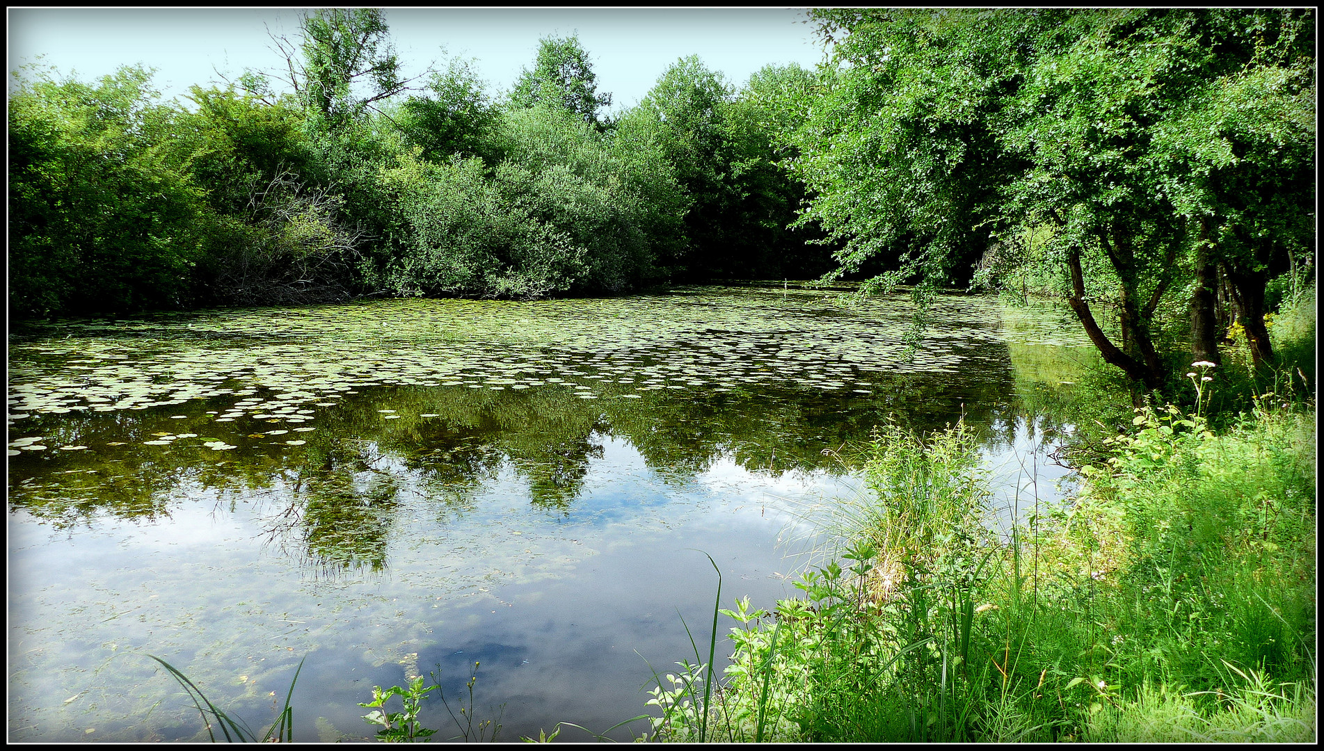 GUDMONT VILLIERS 1 photo et image france, nature, world Images