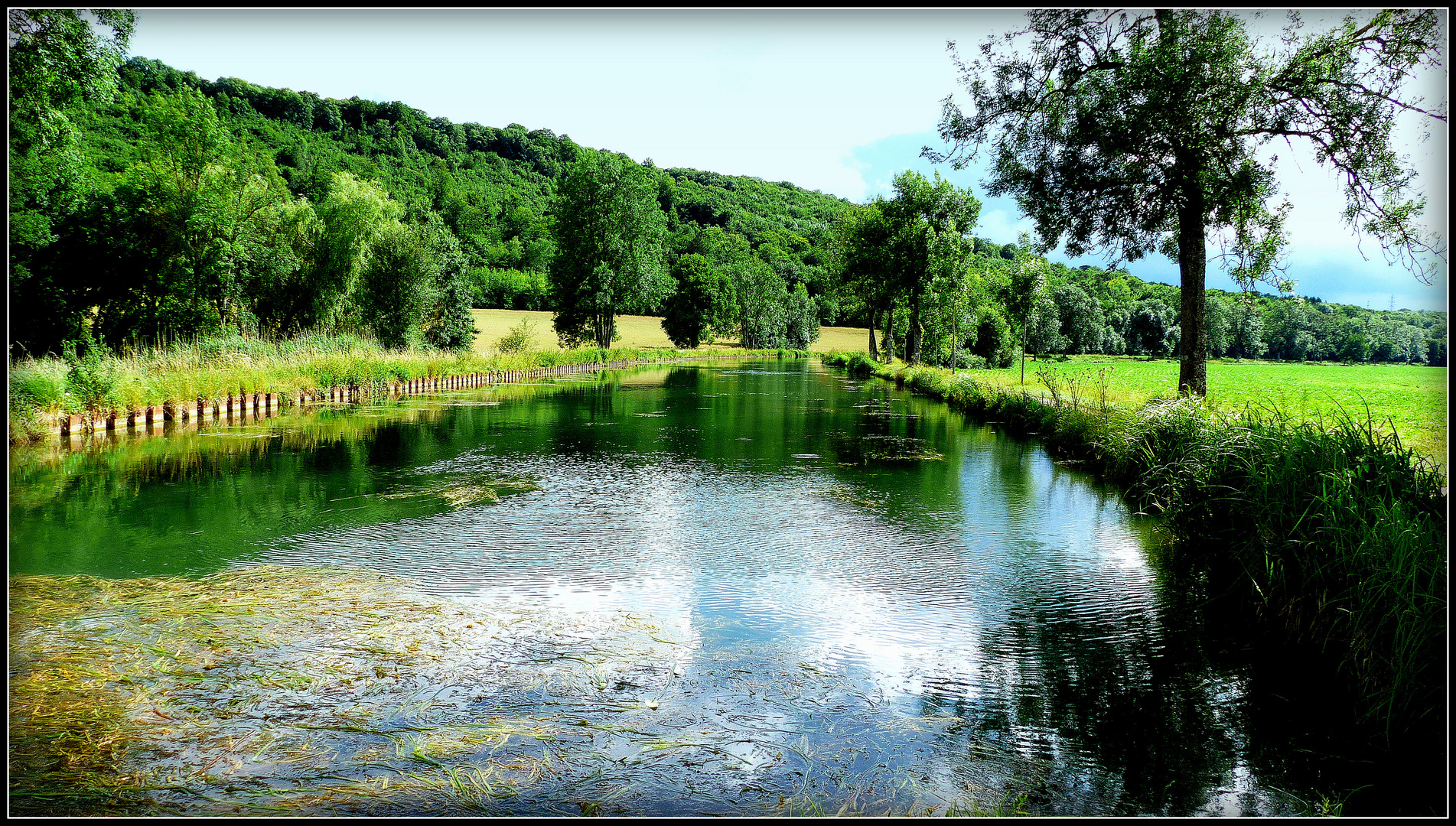 GUDMONT VILLIERS 10 photo et image france, nature, world Images