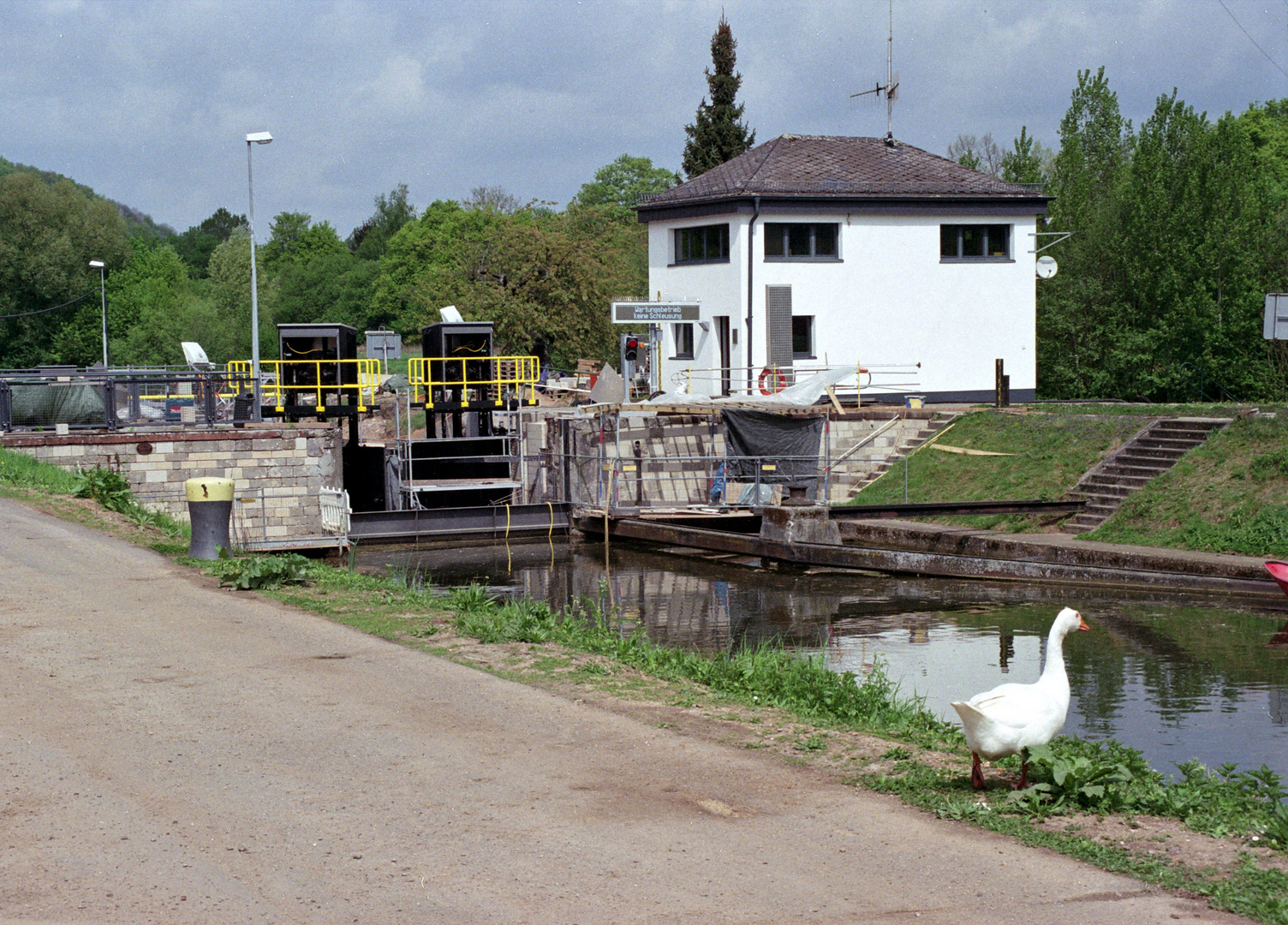 Güdinger Schleuse mit Gans.