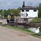 Güdinger Schleuse mit Gans.