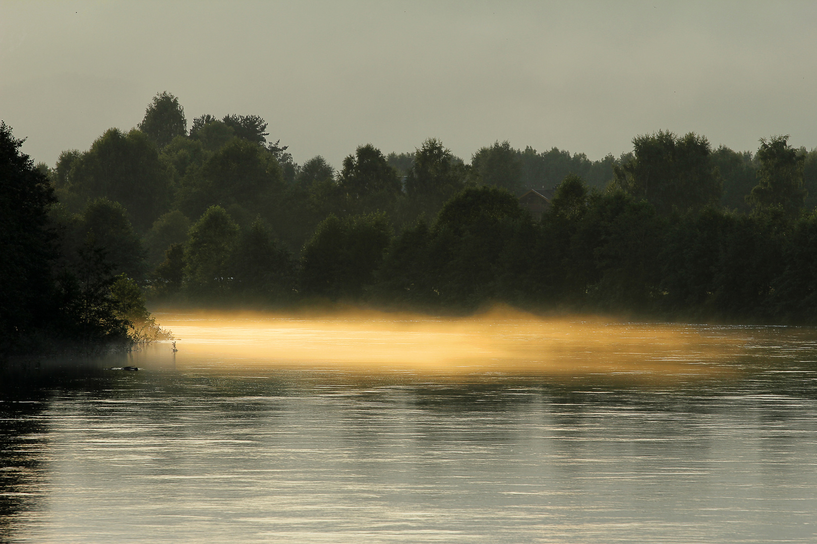 Güldener Nebel