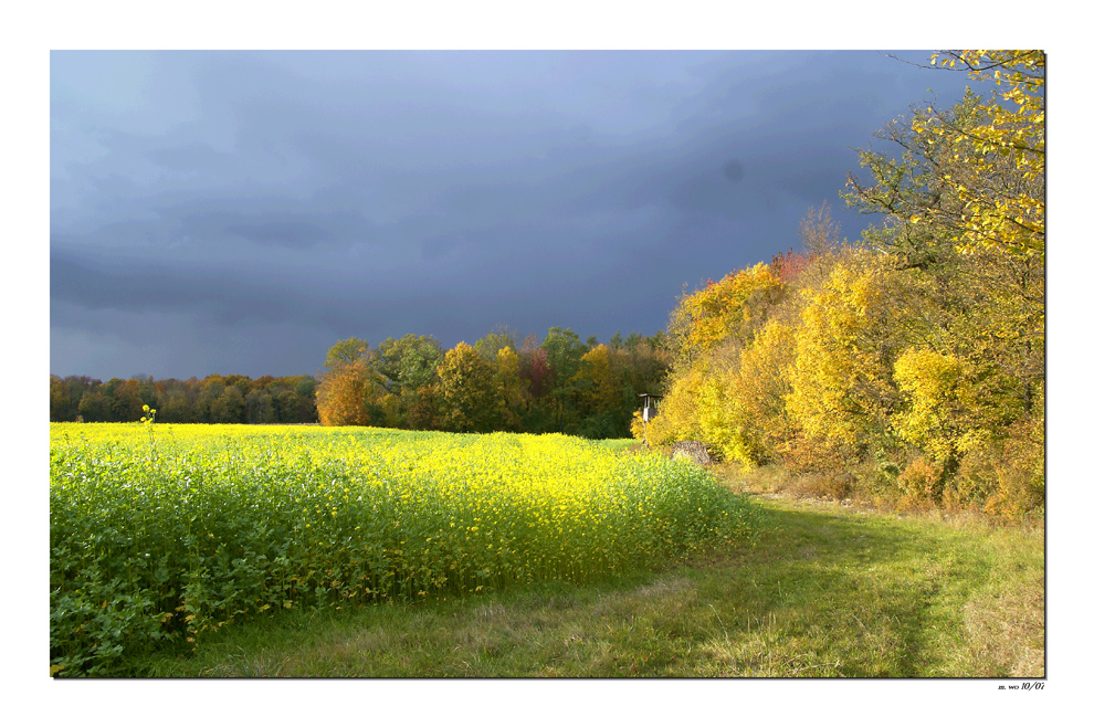 Güldener Oktober.............