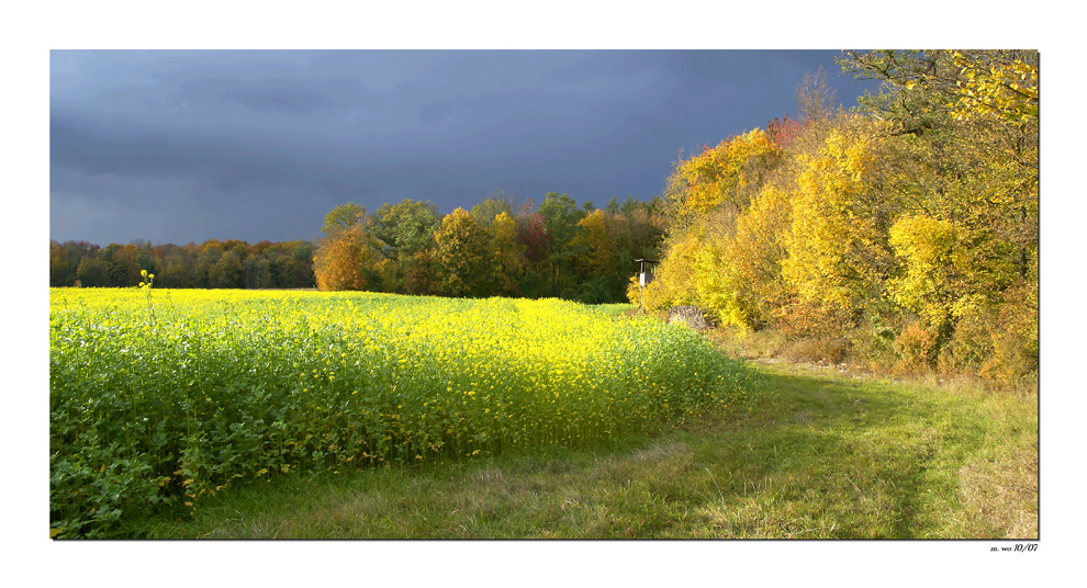 Güldener Oktober.............II