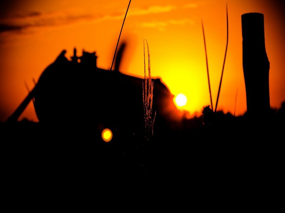 Gülle-Anhänger im Glanze des Sonnenuntergangs