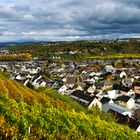 Güls, Herbstfarben I