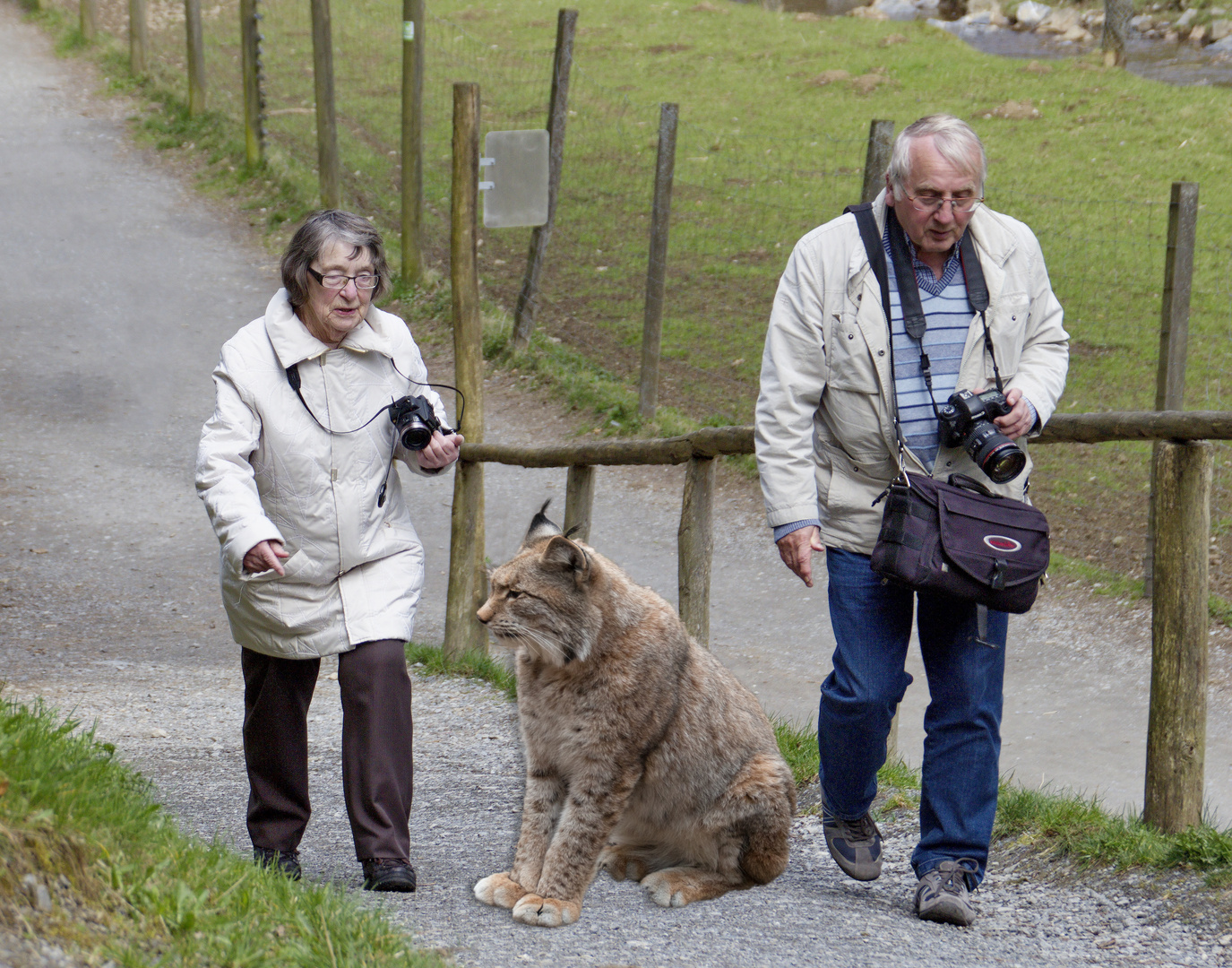 Günter aus Paderborn die Wildkatze und ich 