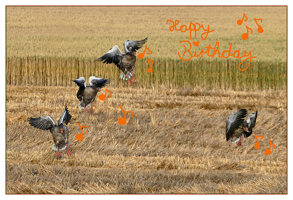 günter hat geburtstag :-)